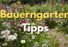Bauerngarten Tipps