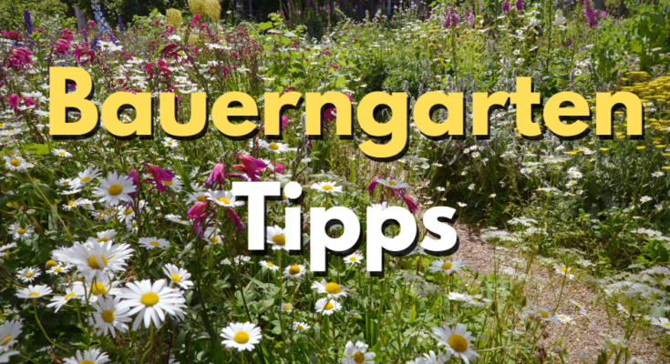 Bauerngarten Tipps