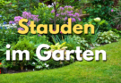 Staudenpracht im Garten: Farbenfrohe Vielfalt für jeden Standort